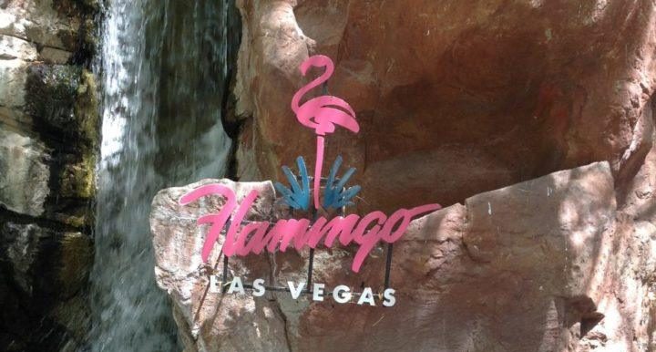 Flamingo's Wildlife Habitat