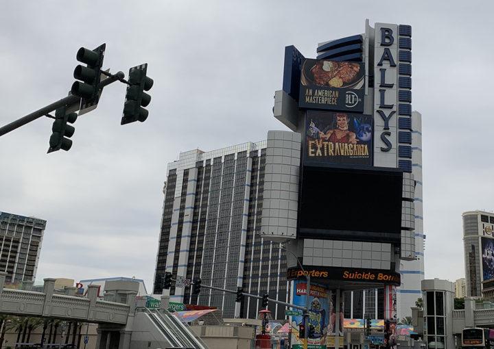 Pet Friendly Hotels The Vegas Visitor