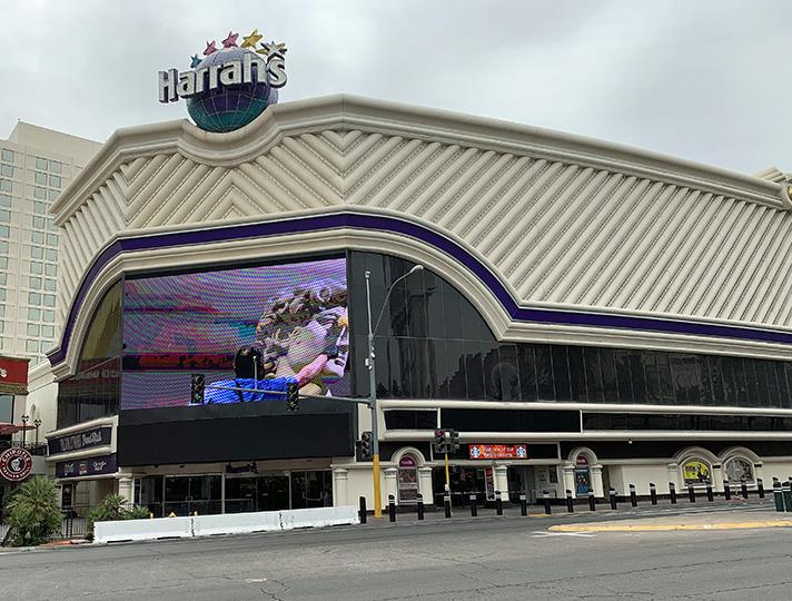 LAS VEGAS PET FRIENDLY HOTELS Las Vegas Information Center