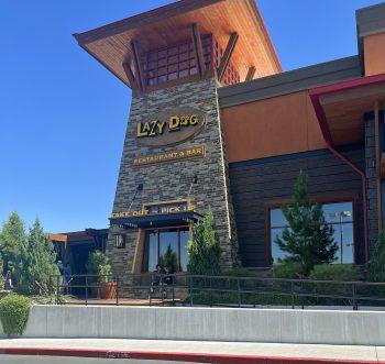 Lazy Dog Restaurant allows Dogs Inside