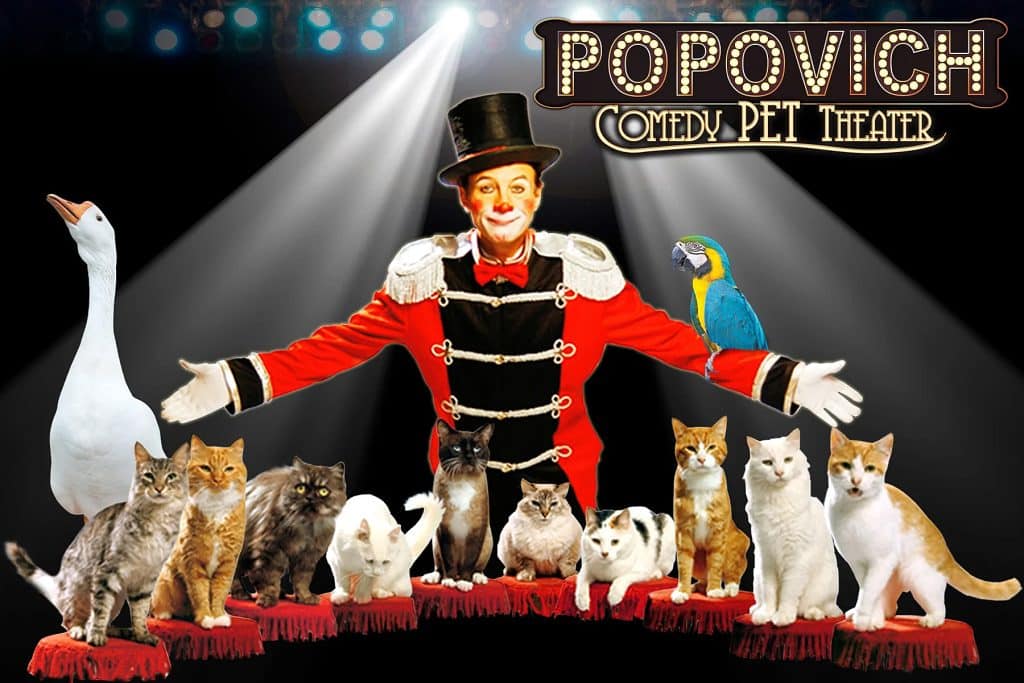 Popovich Comedy Pet Theater, Las Vegas